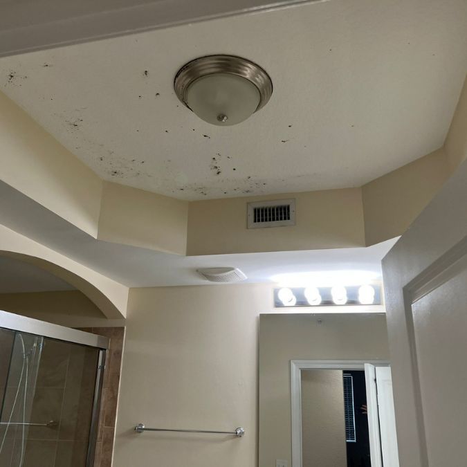 Mold 2