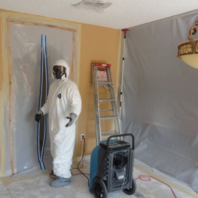 Mold removal