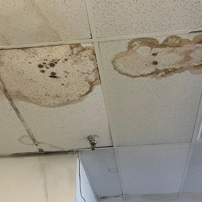 Mold 7